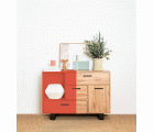 MATT PAINT MP-04 CHINESSE RED